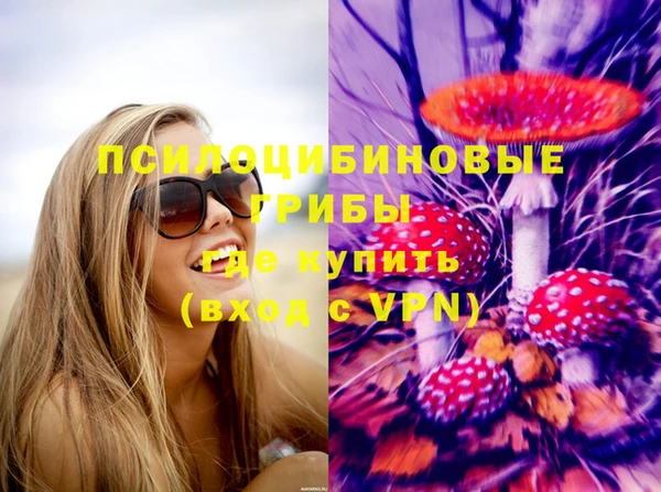 мяу мяу мука Беломорск
